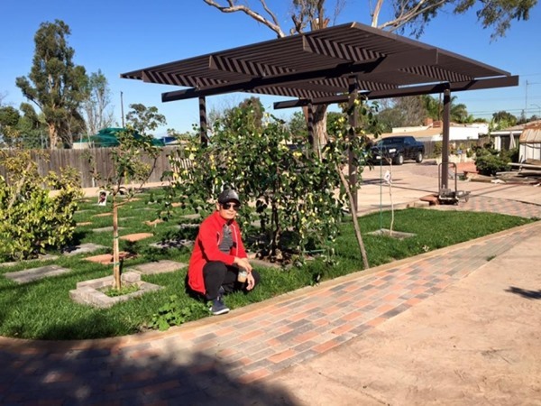 Bằng Kiều cắt tỉa và tạo dáng vườn cây cảnh bonsai đồ sộ ở Mỹ-10