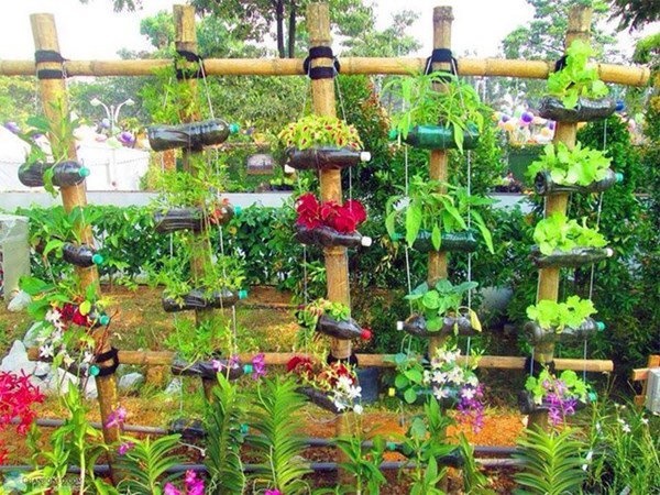 Nhặt lại chai nhựa làm chỗ trồng rau, vài tuần sau lớn nhanh như thổi ai cũng ngạc nhiên-10
