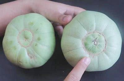 Khi mua dưa lê, nhìn vào rốn quả, thấy điều này chị em mua ngay kẻo hết-1