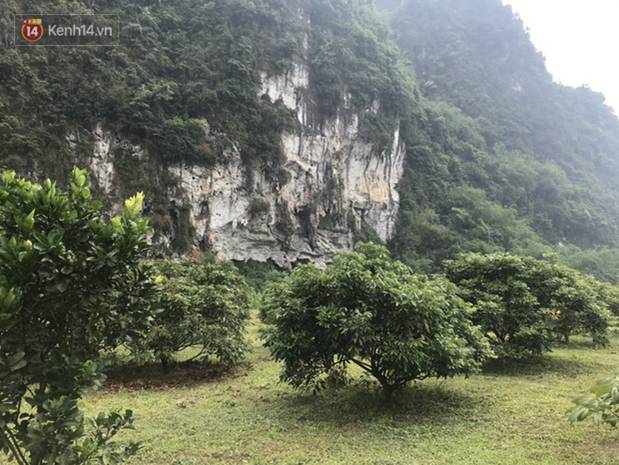 Vụ nghi vấn mẹ ôm 3 bé gái nhỏ tự tử: Chồng nó nhìn thấy vợ bế các con đi nhưng tưởng sang nhà bà ngoại chơi, ai ngờ…”-1