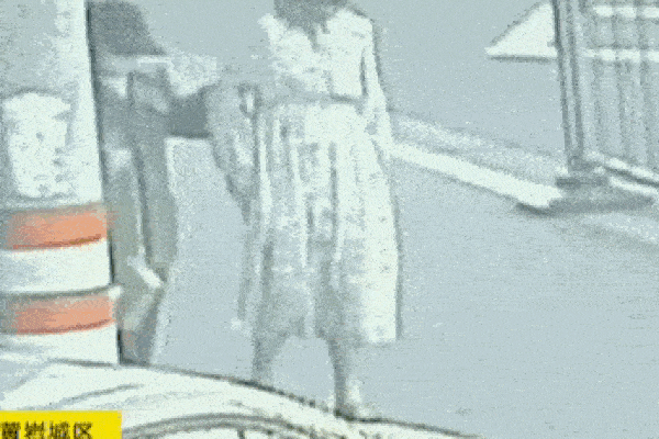 Đoạn clip hồng hạc đực mổ đầu con cái để lấy máu cho chim non uống gây sốt MXH nhưng sự thật hoàn toàn ngược lại-4