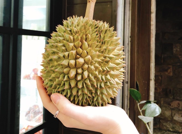 Chợ mạng dậy sóng với sầu riêng mini, cầm thọt lỏm trong lòng bàn tay-1