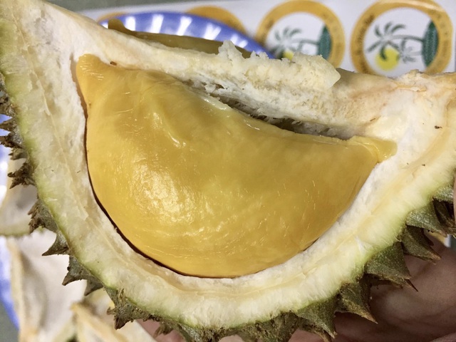 Chợ mạng dậy sóng với sầu riêng mini, cầm thọt lỏm trong lòng bàn tay-2