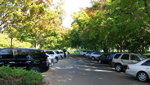 Những lưu ý khi lái xe dưới trời nắng gắt để tránh ảnh hưởng sức khỏe-7