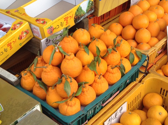 Chum vàng trĩu cành, đặc sản lừng lẫy cả nước, gần 1 triệu/kg-10