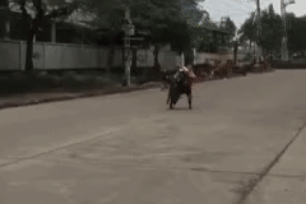 Clip: Thể hiện bốc đầu xe và cái kết muốn