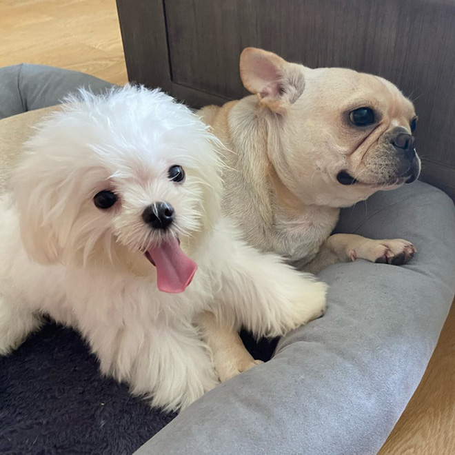 Phillip Nguyễn lần đầu tự quay story rạng rỡ sau khi hàn gắn với Linh Rin: Hay là đi hẹn hò với nàng?-2