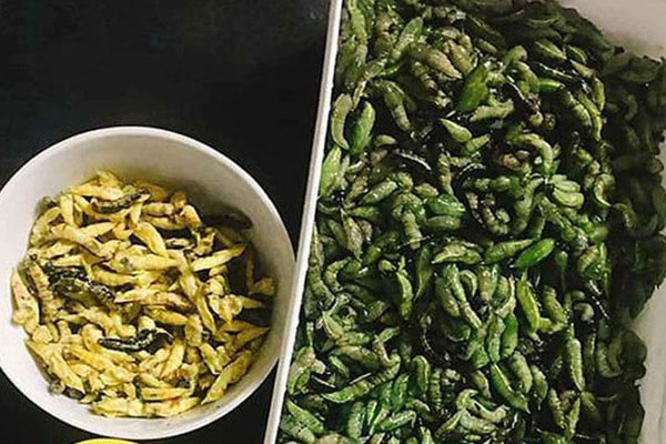 Vác đèn đi săn đặc sản mùa hè, mỗi đêm kiếm cả triệu đồng-6