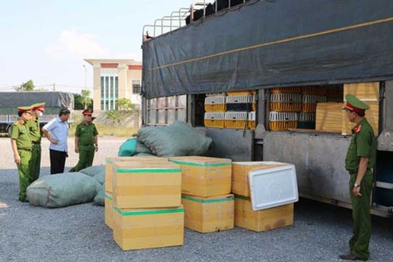 Quảng Bình: Bắt quả tang xe ô tô chở hơn 700kg thịt chó, mèo bốc mùi hôi thối