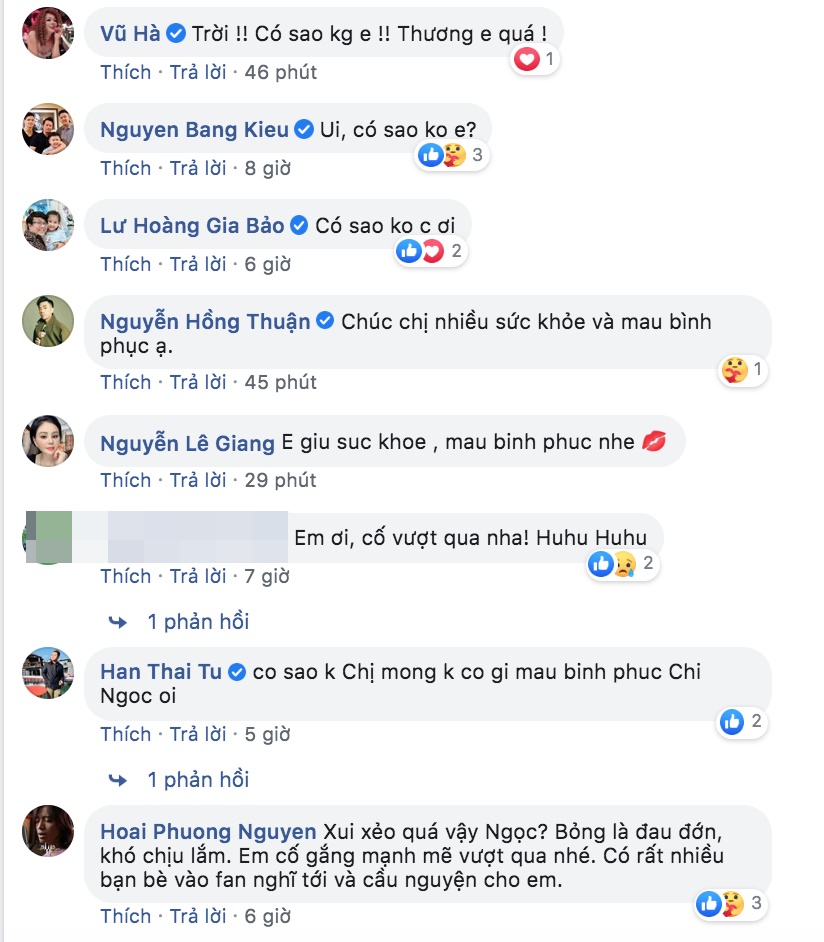 Ca sĩ Hồng Ngọc khiến cả dàn sao Việt lo lắng vì bị bỏng do nổ nồi xông hơi, phải hủy show diễn ngay phút chót-2