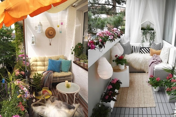 8 loại hoa thơm như nước hoa, trồng ban công đưa hương nức cả nhà-5