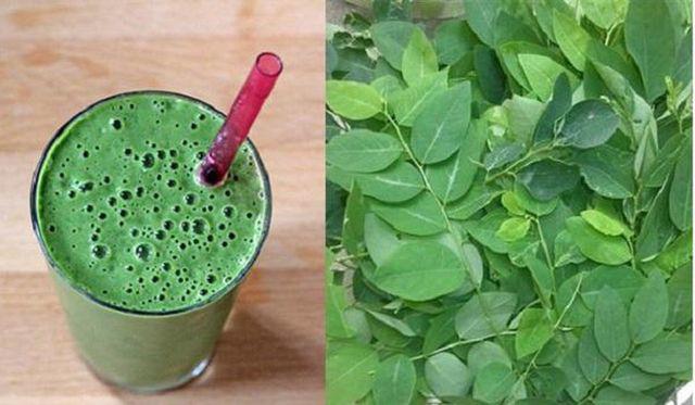 7 tác dụng thần kỳ” của rau ngót với sức khỏe, nhưng 3 người này chớ ăn dù một miếng-3