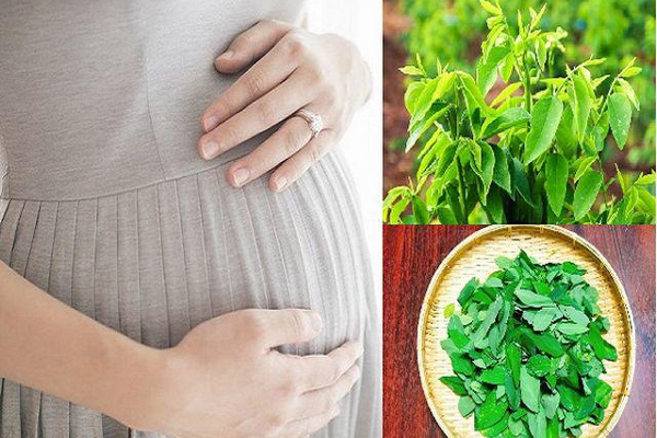 Tóc bạc trắng dù tuổi còn trẻ: Đây là 5 thủ phạm được chuyên gia điểm mặt-5