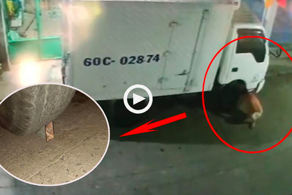 Xe tải bất ngờ bị thổi bay lên không trung khi đang dừng đèn đỏ-1