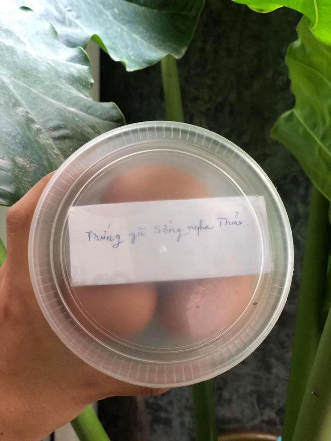 Mẹ gửi hộp trứng từ quê lên, tờ giấy nhắn bên trong chỉ có một câu nhưng ai đọc cũng xúc động-1