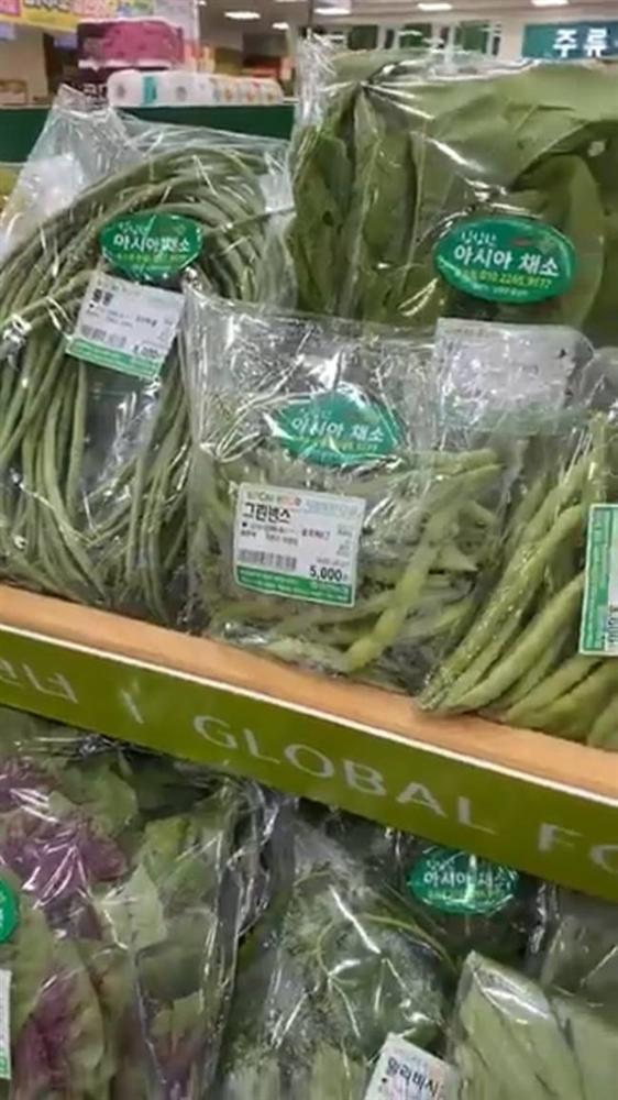 80k được vài cọng rau muống, cô gái trẻ đang sống ở Hàn rớt nước mắt vì ở nhà toàn… cắt cho lợn-5