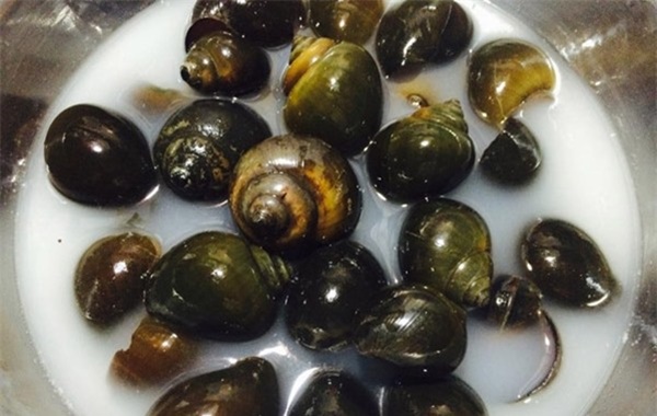 Mách chị em mẹo khử sạch mùi tanh của hải sản chỉ mất vài phút-3