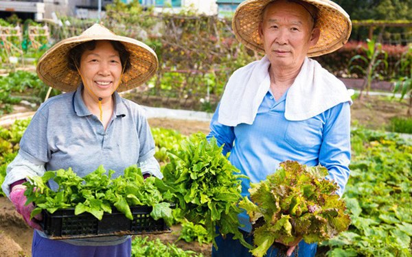 Quỳnh Trần JP kể chuyện người Nhật hễ nghe động đất là chạy ngay vào toilet, nghe có vẻ kỳ lạ nhưng lý do và ý nghĩa của hành động này khiến ai cũng bị thuyết phục-3