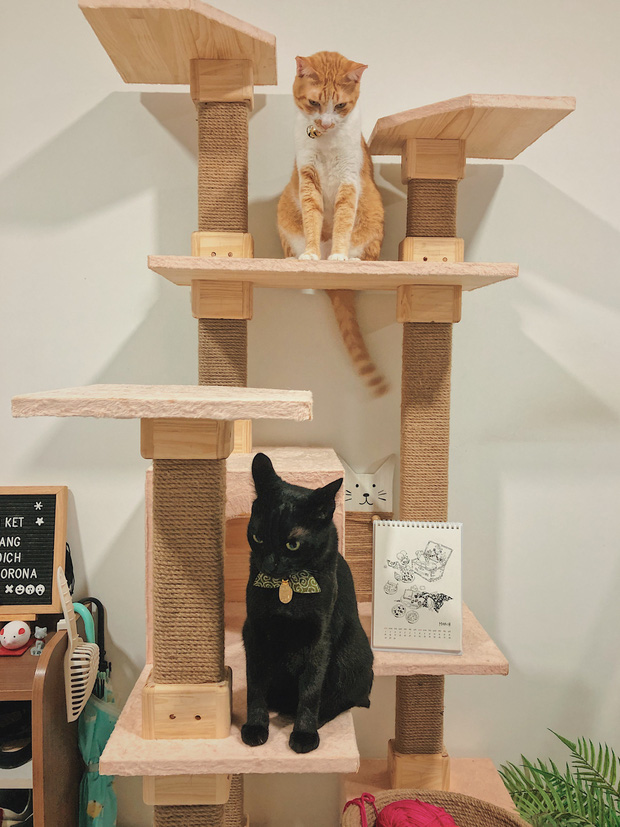 Chàng trai đầu tư 300 triệu decor nhà đi thuê, sở hữu 3000 cuốn sách truyện và vô số đồ đạc nhưng vẫn gọn gàng hết nấc-18