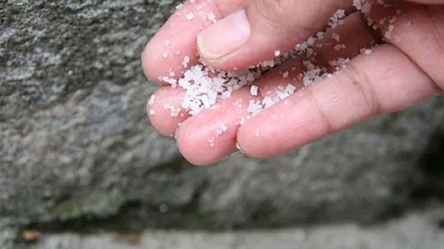 Hóa ra đây là lý do mà nhiều người rắc muối quanh nhà-1