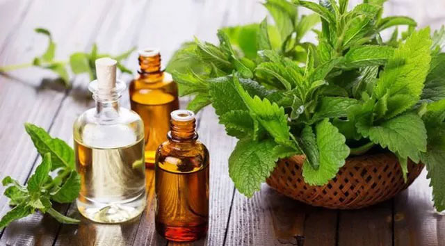 Hóa ra đây là lý do mà nhiều người rắc muối quanh nhà-4
