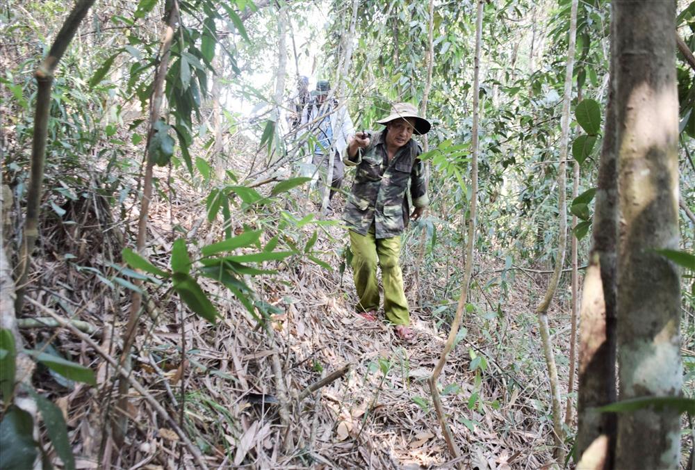 Cao thủ xứ Quảng săn loại nấm quý giữa rừng Nam Giang-3