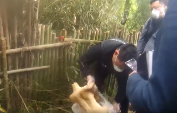 Người đàn ông phát hiện thi thể không đầu trong bao tải giữa rừng tre, câu chuyện đằng sau mới là thứ khiến người dân hoang mang-2