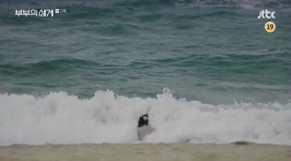 Phục sát đất bà cả và bác sĩ soái ca ở hậu trường Thế Giới Hôn Nhân: Diễn cảnh tự tử nhập tâm đến nỗi cứu hộ phải ra lôi vào!-5