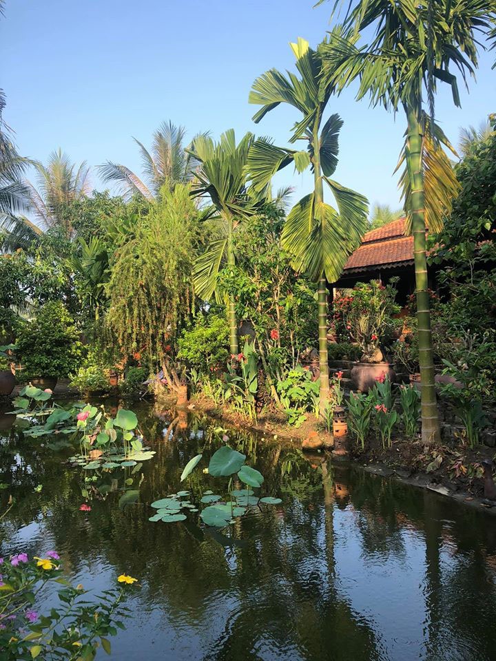 Chiêm ngưỡng ngôi nhà cổ tuyệt đẹp, rộng thẳng cánh cò bay ở Long An-7