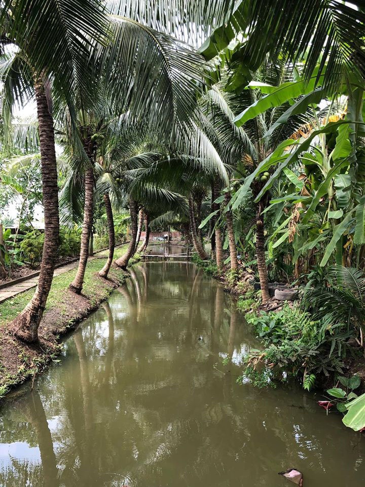 Chiêm ngưỡng ngôi nhà cổ tuyệt đẹp, rộng thẳng cánh cò bay ở Long An-10