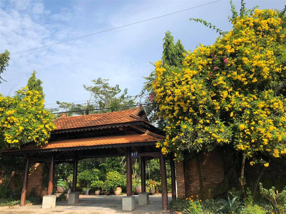 Chiêm ngưỡng ngôi nhà cổ tuyệt đẹp, rộng thẳng cánh cò bay ở Long An-11