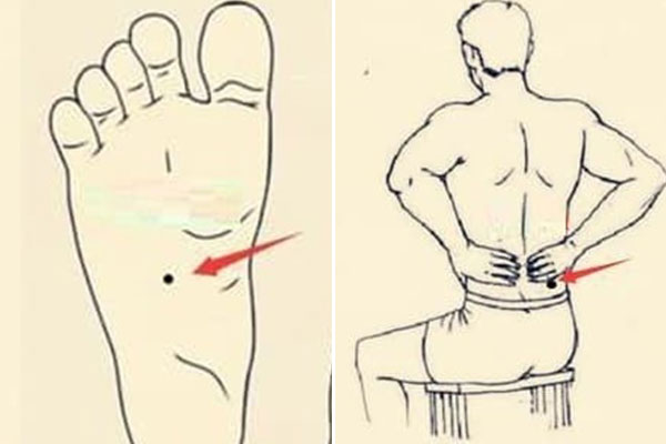 3 con giáp có vận khí hơn người, sự nghiệp thăng tiến vùn vụt trong tương lai, làm việc gì cũng thành công-4