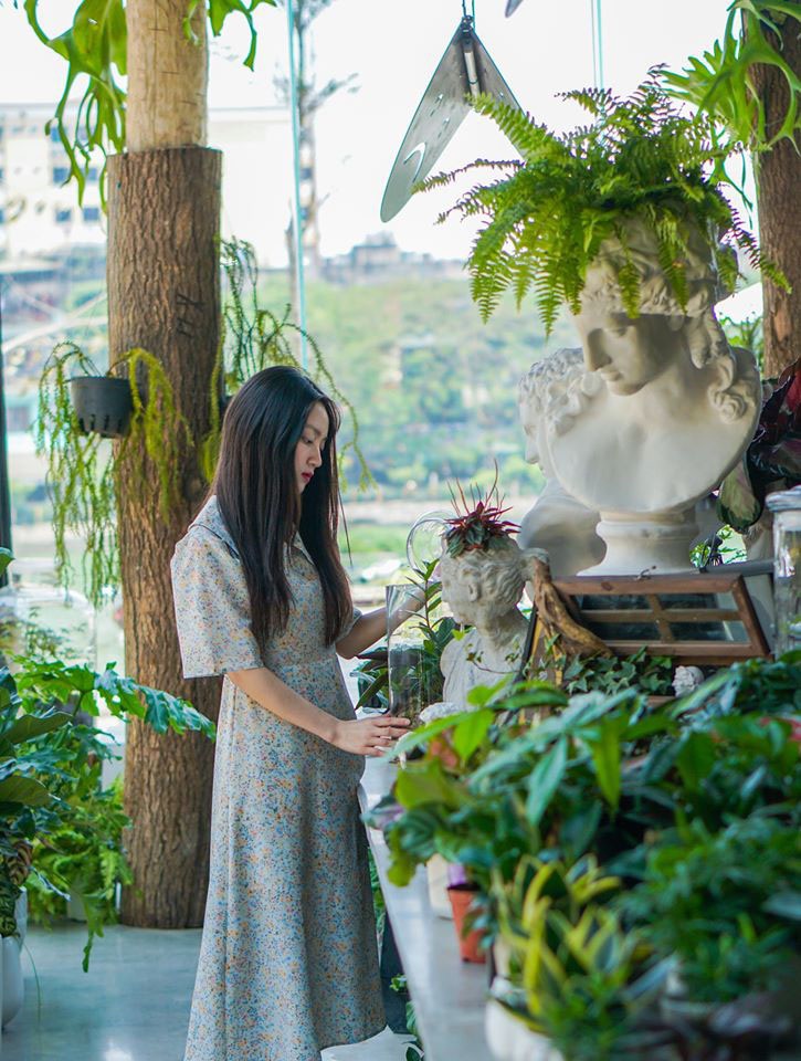 Độc đáo thú chơi tượng cây, đại gia có tiền cũng không thể mua nổi-3