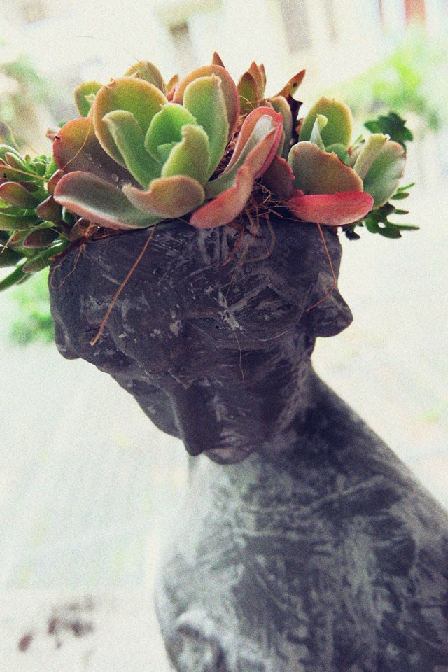 Độc đáo thú chơi tượng cây, đại gia có tiền cũng không thể mua nổi-9