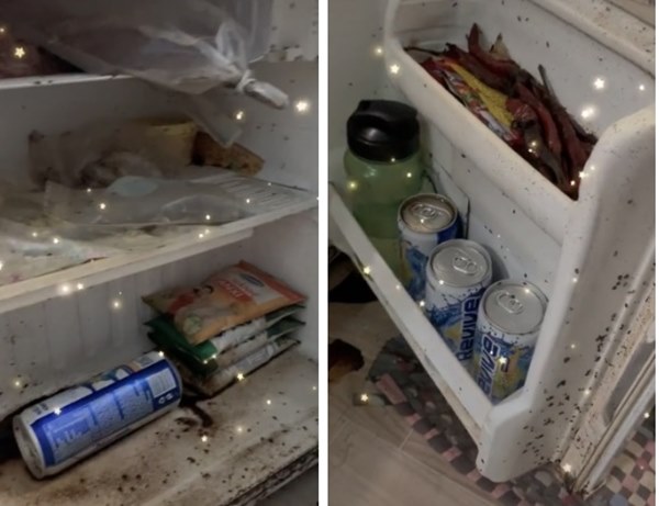 Trở lại thành phố, nữ sinh bủn rủn chân tay phát hiện sinh vật bò lúc nhúc trong tủ lạnh, nước đen ngòm hôi thối tràn ngập phòng-1
