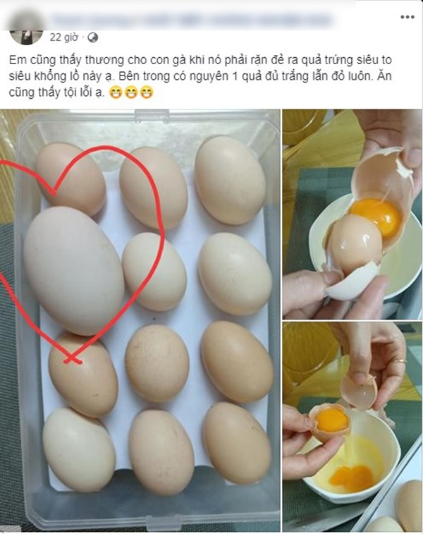 Cô gái ngạc nhiên khi lần đầu tiên chứng kiến quả trứng trong trứng có 1-0-2-1