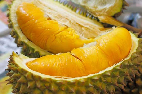 Cách nhận biết sầu riêng chín cây và sầu riêng nhúng thuốc-1