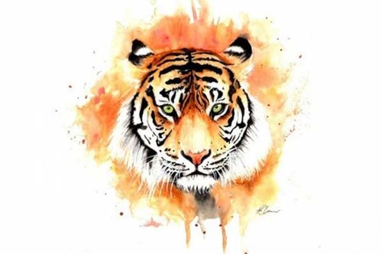 3 con giáp có vận khí hơn người, sự nghiệp thăng tiến vùn vụt trong tương lai, làm việc gì cũng thành công