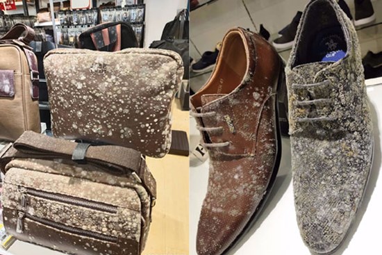 Giày, túi đắt đỏ ở cửa hàng mốc trắng xóa sau 2 tháng nghỉ bán