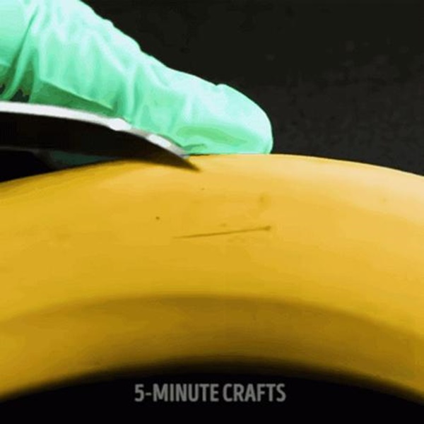 Tìm ra 3 mẹo ươm cây tuyệt đỉnh các bà nội trợ không thể làm ngơ-2