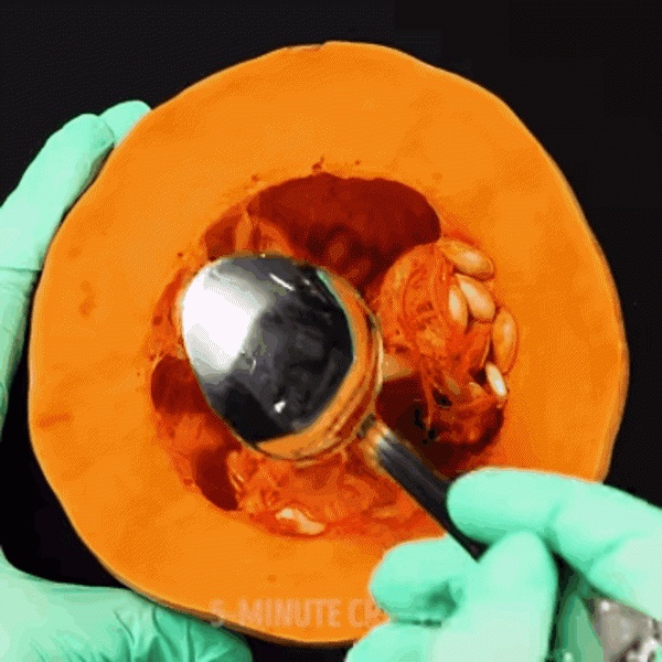 Tìm ra 3 mẹo ươm cây tuyệt đỉnh các bà nội trợ không thể làm ngơ-4