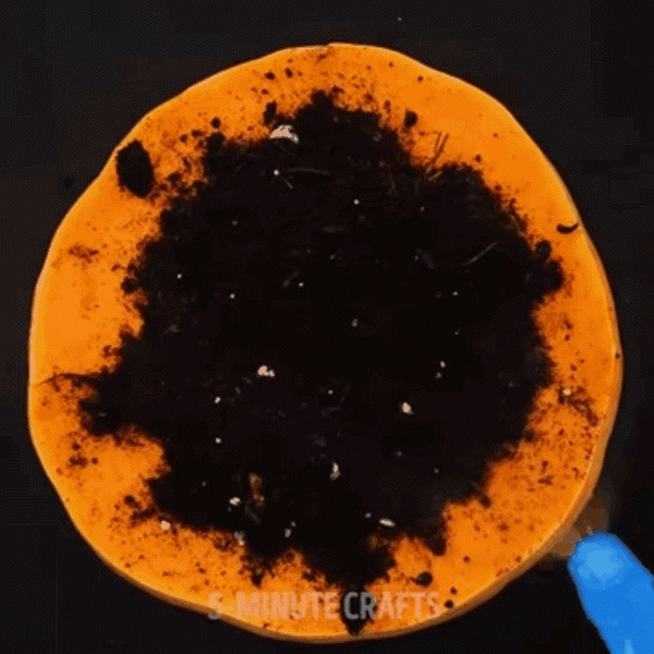 Tìm ra 3 mẹo ươm cây tuyệt đỉnh các bà nội trợ không thể làm ngơ-5