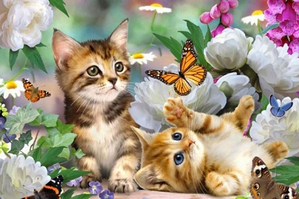 Nửa cuối tháng 5 dương lịch, bị thần tài gạch tên, những con giáp chịu đủ thị phi, điều tiếng-4