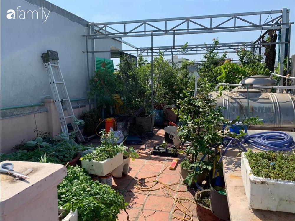 Ghen tị với góc chill rộng thoáng 40m² trên sân thượng tràn ngập hồng ngoại của mẹ đảm tại Nha Trang-7