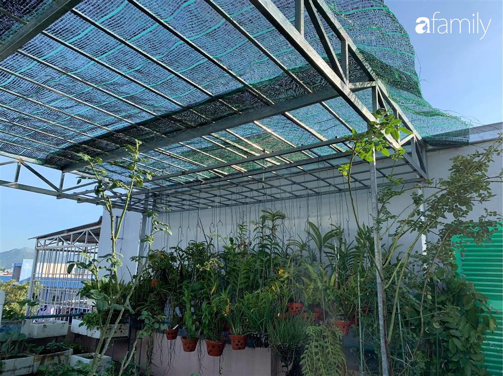 Ghen tị với góc chill rộng thoáng 40m² trên sân thượng tràn ngập hồng ngoại của mẹ đảm tại Nha Trang-9