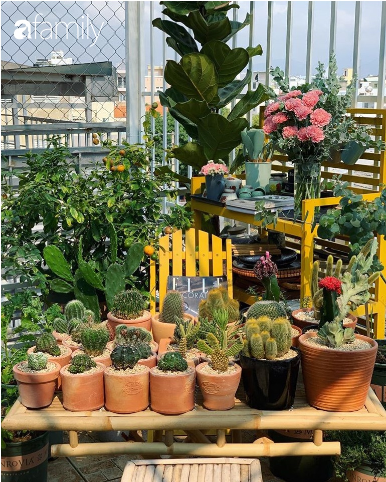 Ghen tị với góc chill rộng thoáng 40m² trên sân thượng tràn ngập hồng ngoại của mẹ đảm tại Nha Trang-17