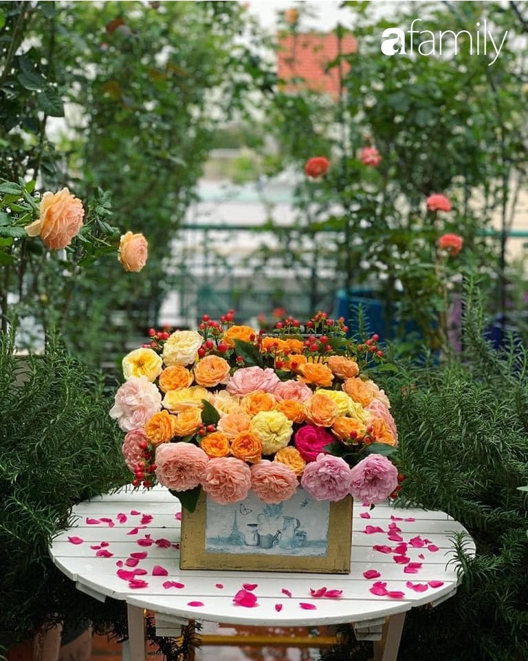 Ghen tị với góc chill rộng thoáng 40m² trên sân thượng tràn ngập hồng ngoại của mẹ đảm tại Nha Trang-22