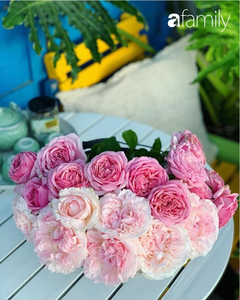 Ghen tị với góc chill rộng thoáng 40m² trên sân thượng tràn ngập hồng ngoại của mẹ đảm tại Nha Trang-24