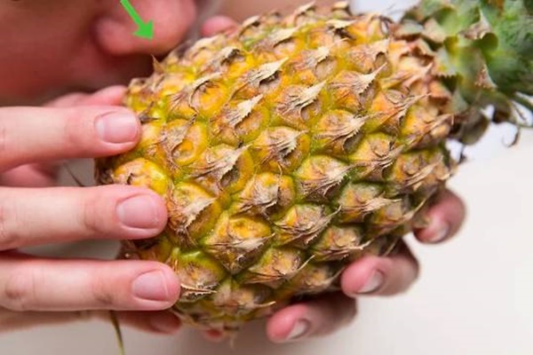 Hướng dẫn cách chọn dứa ngọt lừ và kiểu gọt chuẩn nhất-3