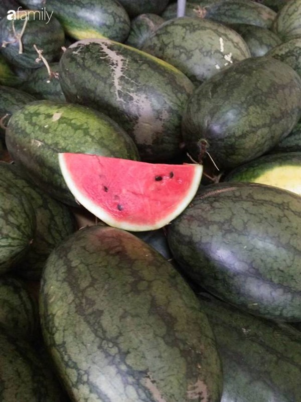 5 kinh nghiệm chọn mua dưa hấu không cần vỗ bồm bộp vẫn chọn được quả vỏ mỏng, ngọt lịm-2